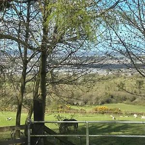https://cozy-room-in-a-barn-with-farm-view.dublin-hotelsweb.com